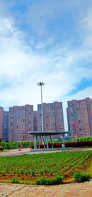 公园