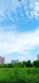 公园