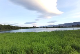 草海