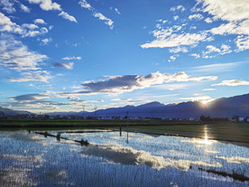 鹤庆风景