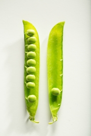 青豆