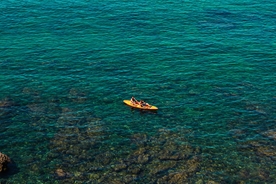 海水 船只