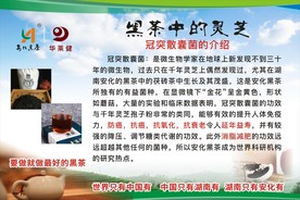安化黑茶