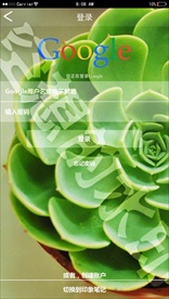 谷歌登录界面