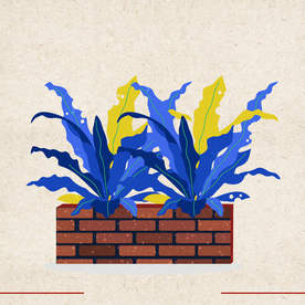 矢量动物 矢量植物 插画 手绘