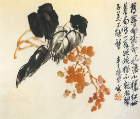 海棠 图