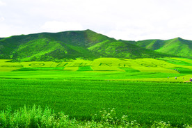 魅力民乐