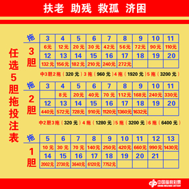 中国福利彩票