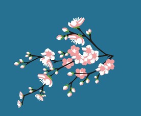 樱花