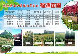 宣传彩页
