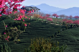 风景 度假 旅游  景点 游玩