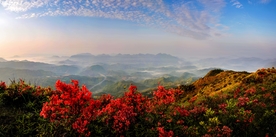 风景 度假 旅游  景点 游玩