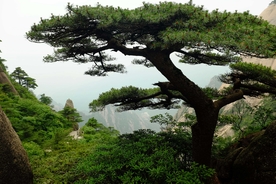 风景 山 旅游