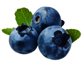 蓝莓
