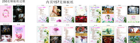 婚纱   婚礼庆典   套餐
