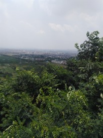 阳山