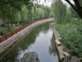 公园 风景 池塘