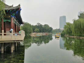 公园 风景 池塘