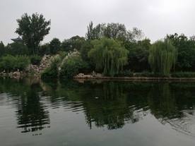 公园 风景 池塘