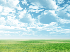 蓝天与草原
