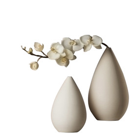 室内花艺摆件png