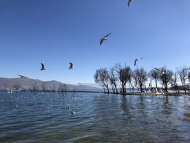 云南 丽江 大理 洱海