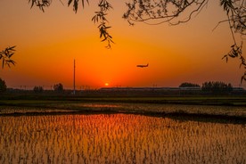 迎着霞光