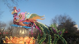 五彩的凤凰