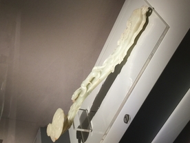 玉如意