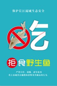 拒食野鱼