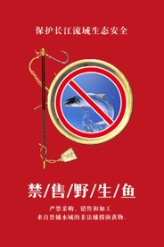 禁售野鱼