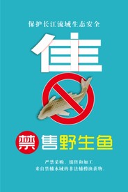 禁售野鱼