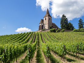 中世纪田园风景图