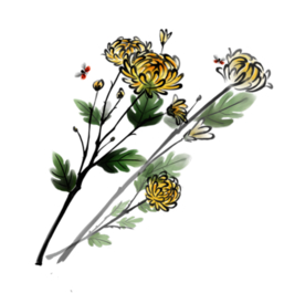 水墨菊花