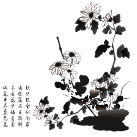 水墨菊花