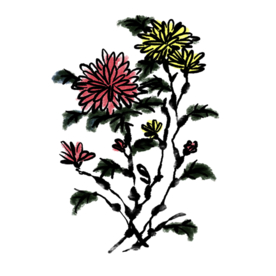 水墨菊花
