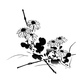 水墨菊花