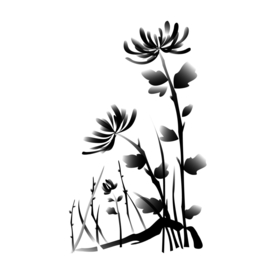菊花装饰