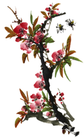 菊花装饰