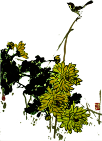 菊花装饰