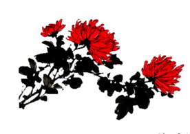 菊花装饰