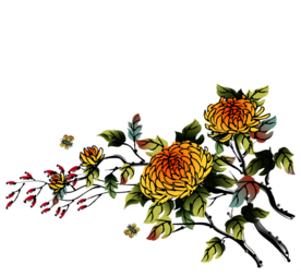 菊花装饰