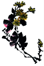 菊花装饰
