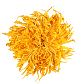 菊花装饰