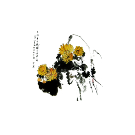 菊花装饰