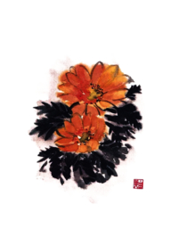 菊花装饰