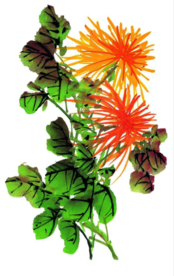 菊花装饰