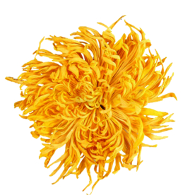菊花装饰