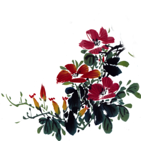 菊花装饰