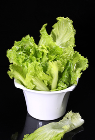 生菜